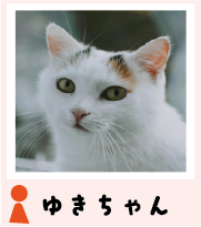 yuki